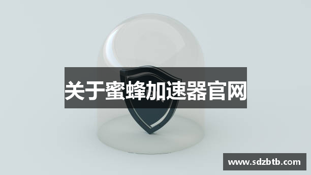 关于蜜蜂加速器官网